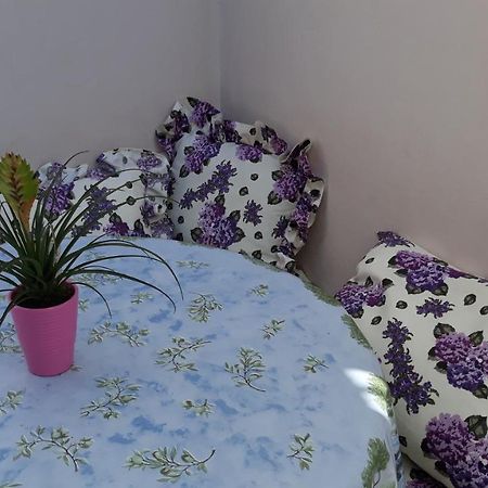 Mini Apartment Petra - Rooms Purple & Green With Kitchen And Garden Dubrovnik Dış mekan fotoğraf